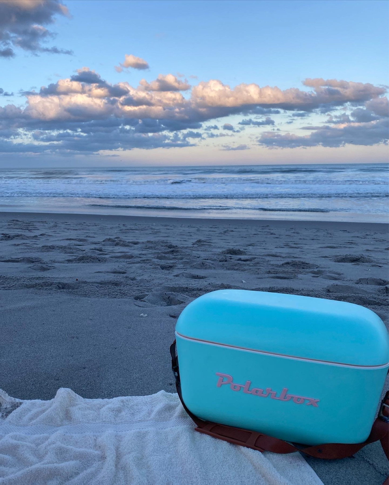 Polar box cooler 

#LTKU #LTKSeasonal #LTKCyberweek