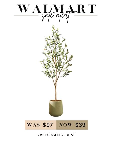 Save big on this 6 foot faux olive tree! Was $97, now just $39! Get the Pottery Barn look for less. Faux tree, faux olive tree, olive tree decor, decorative olive tree, decorative tree, 6 foot faux tree, 6 foot olive tree, 6 foot faux olive tree, trendy olive tree, trendy faux olive tree, affordable olive tree, affordable faux olive tree, olive tree on sale, faux olive tree on sale 

#LTKSaleAlert #LTKHome #LTKFindsUnder50