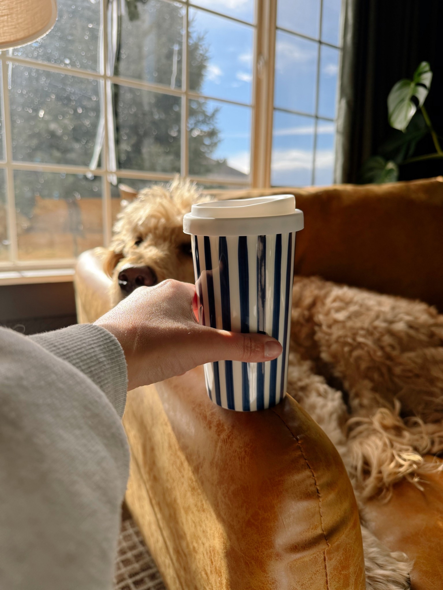 Such a cute travel mug! Striped ceramic mug from Amazon! Comes in 4 colors! 

#LTKmorningroutine #LTKmomlife #LTKFindsUnder50