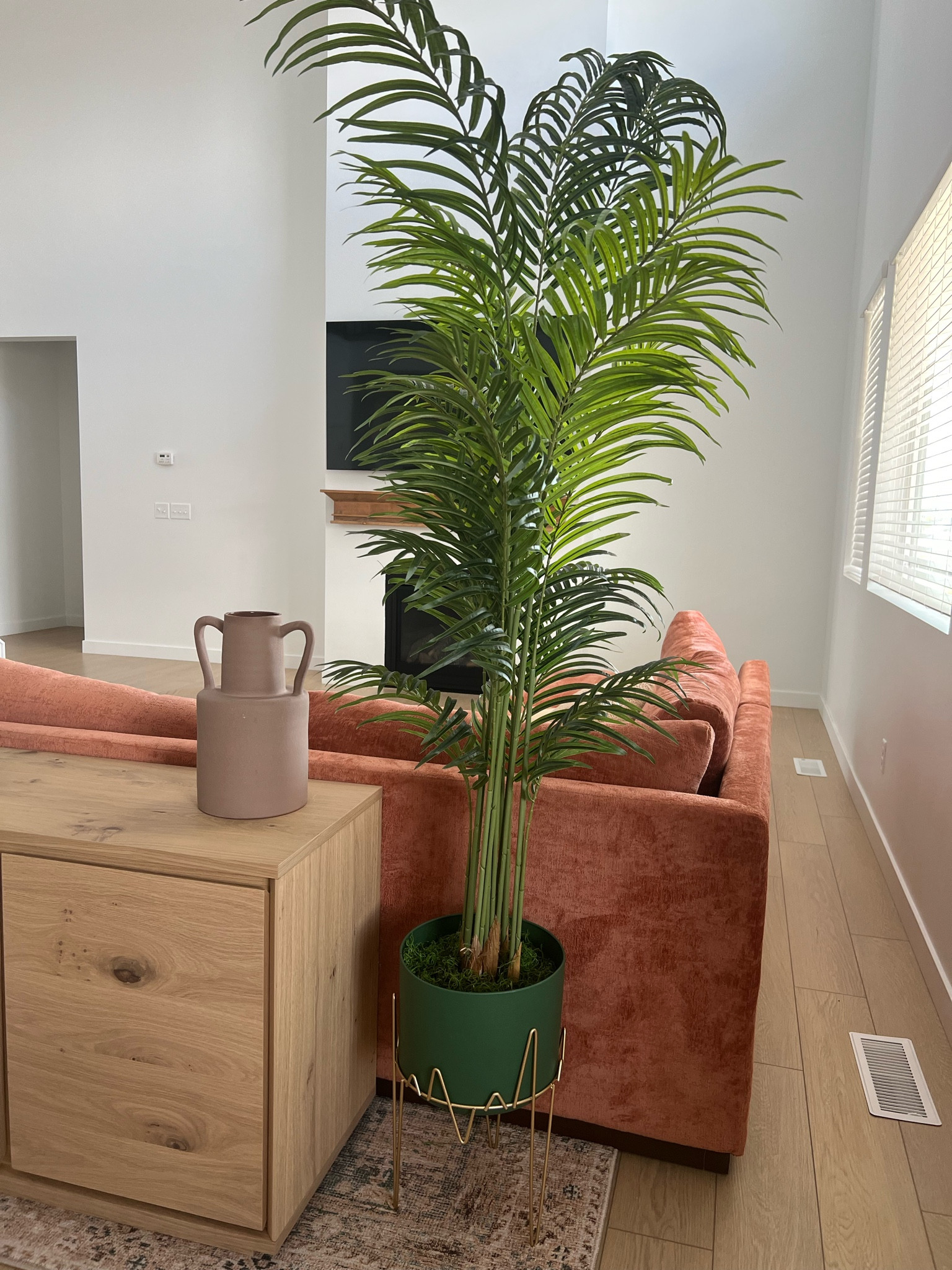 We are obsessed with this plant and the color it brings to our room. 

#LTKhome #LTKGiftGuide #LTKSpringSale