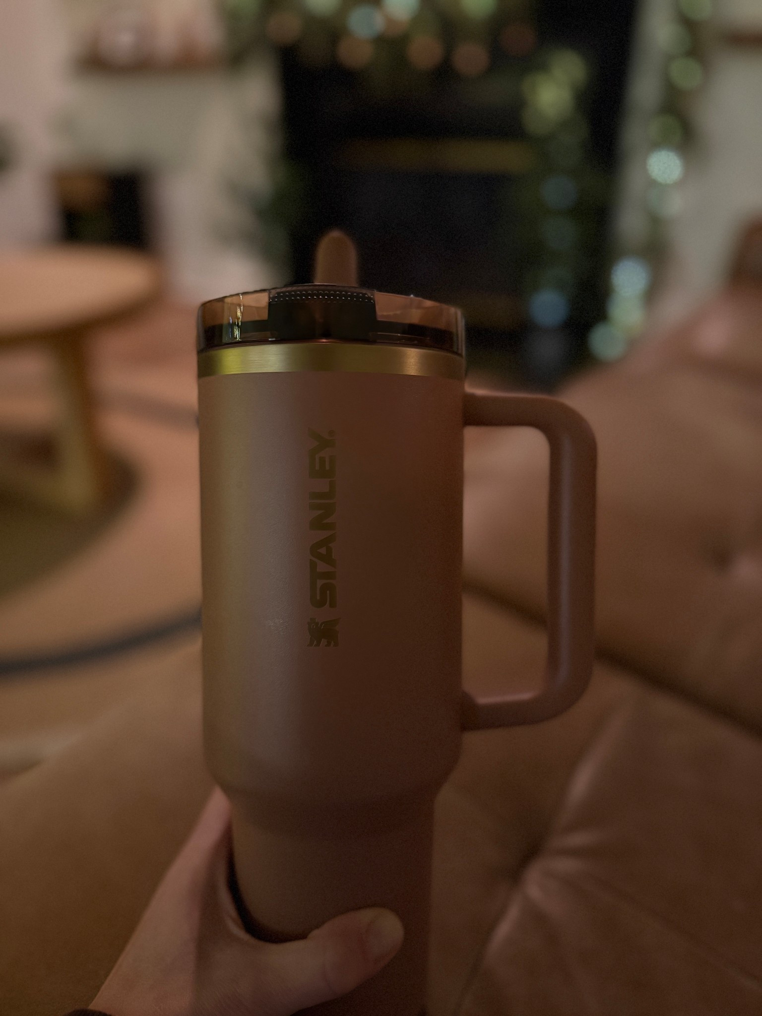 stay hydrated in 2026 with this cutie pie 🥧 

fitness / workout / new year / resolutions #LTKGiftGuide 

#LTKfitnessgoals #LTKTravel