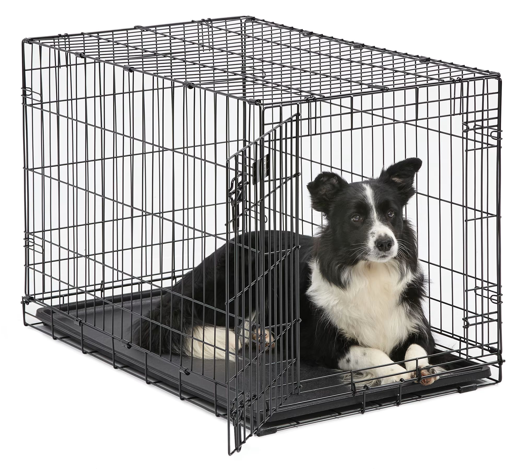 Midwest iCrate Single Door Folding Dog Crate, 30" L X 19" W X 21" H | Petco