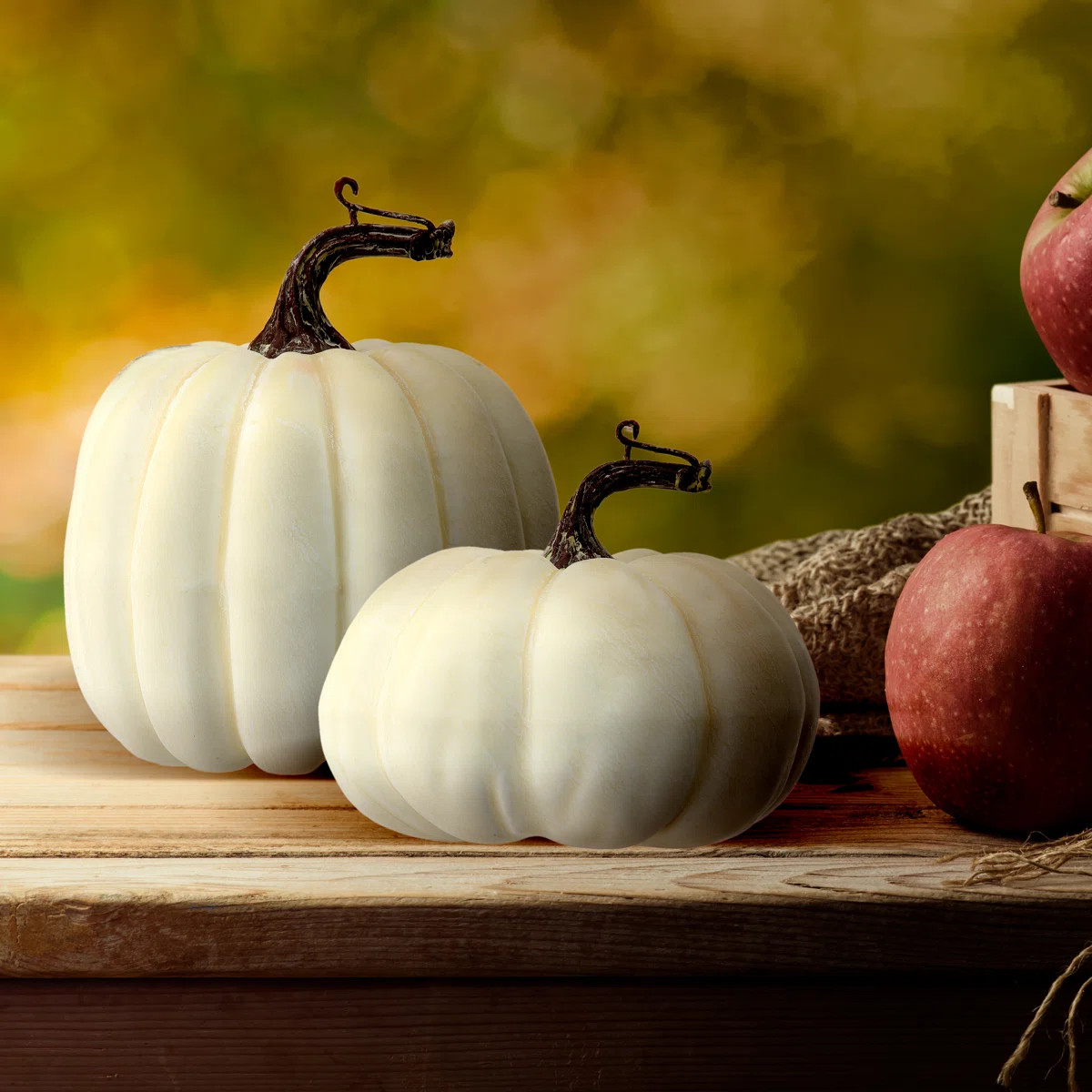 Kelly Clarkson Home 2 Piece Waterproof Weathered Pumpkin Set & Reviews | Wayfair | Wayfair North America