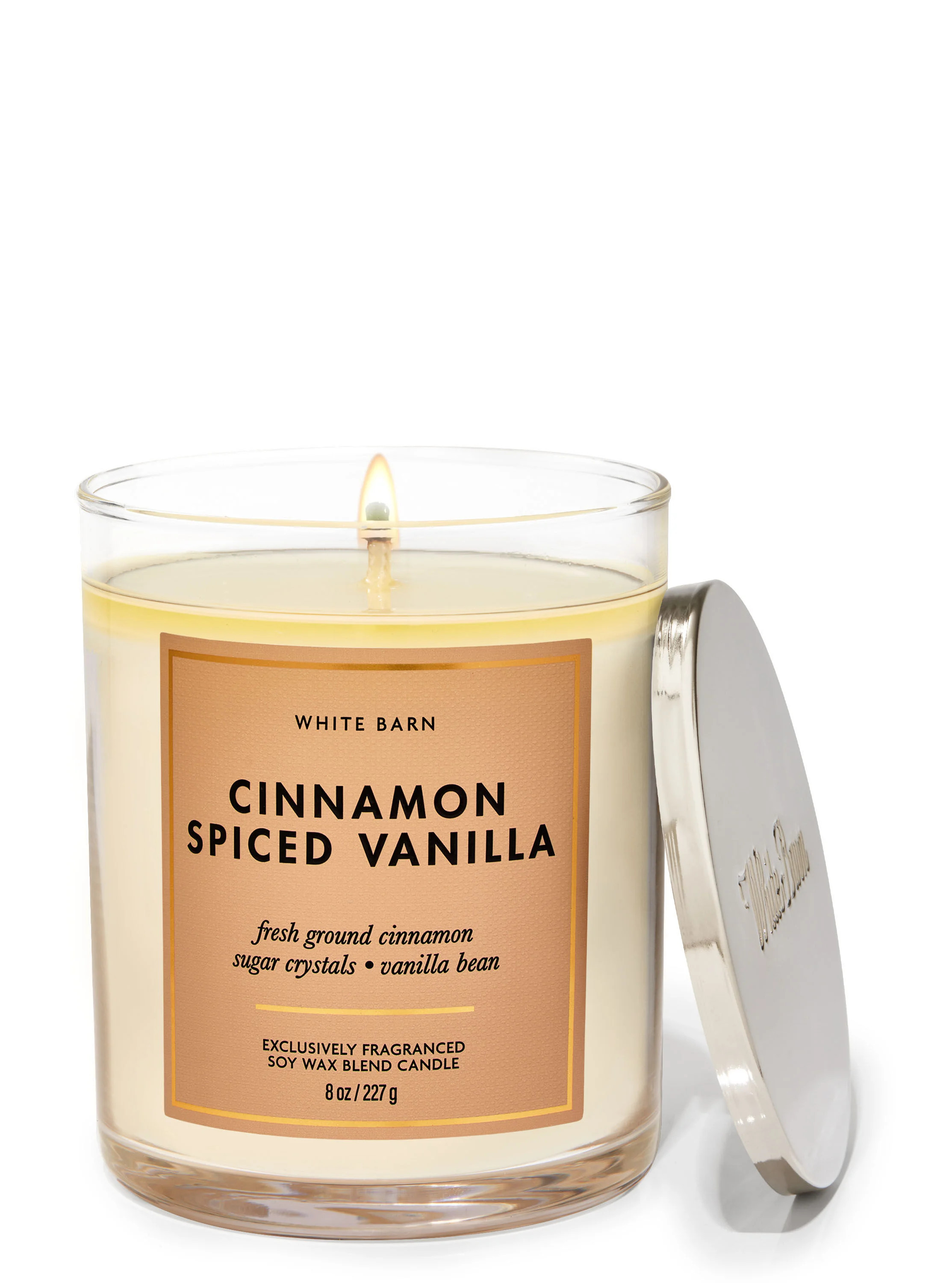 Cinnamon Spiced Vanilla


Single Wick Candle | Bath & Body Works