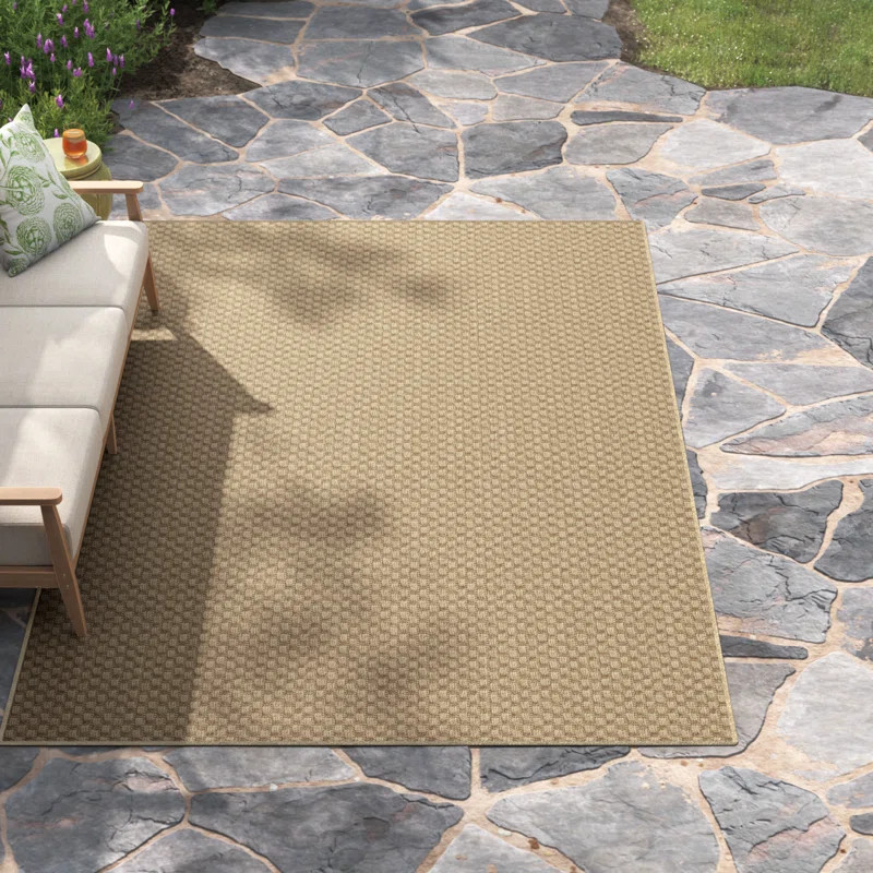 Barksdale Brown Indoor/Outdoor Rug | Wayfair North America