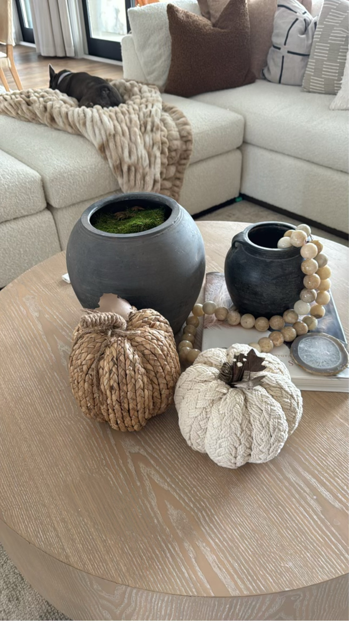 Fall Home Decor from Amazon 

#LTKHome