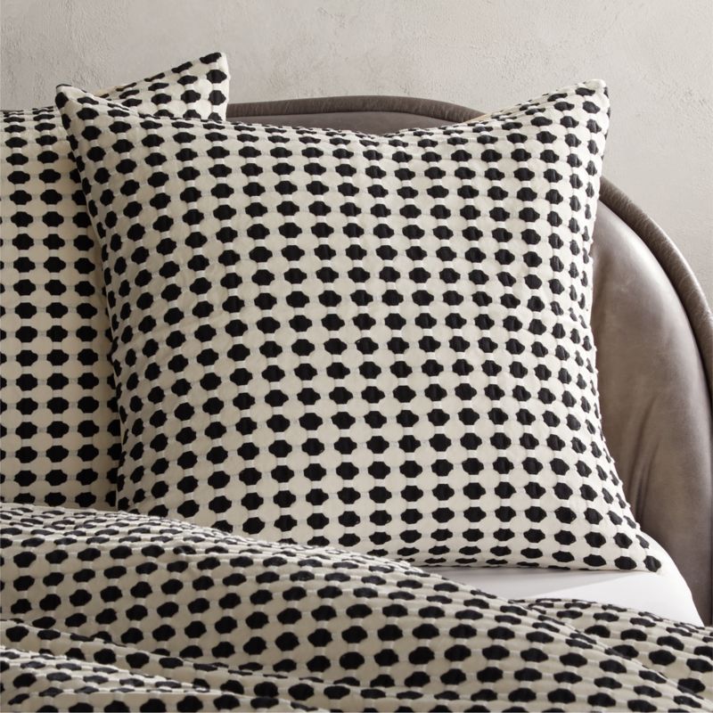 Estela Black and White Organic Cotton Euro Pillow Shams Set of 2 + Reviews | CB2 | CB2