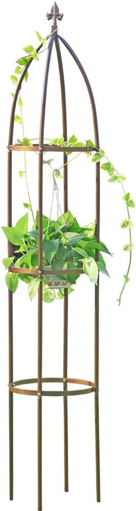 Obelisk Garden Trellis 6.3 Feet Tall Sturdy Plant Support for Climbing Vines and Flowers Stands (... | Amazon (US)