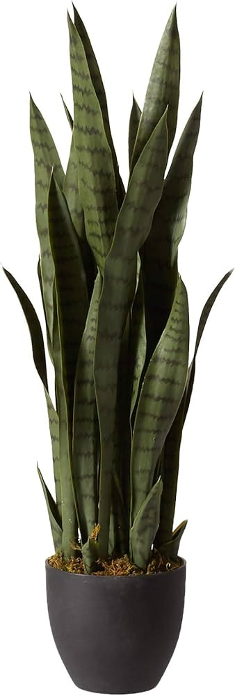 Nearly Natural, Green 4855 35in. Sansevieria with Black Planter | Amazon (US)