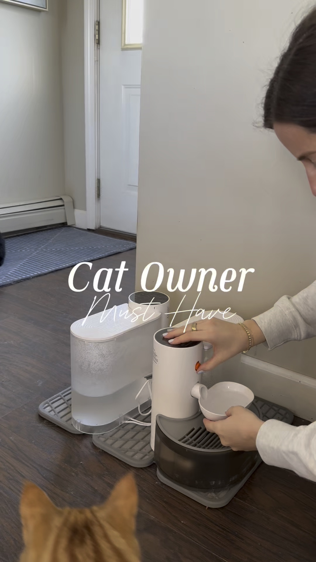 This is the best cat water fountain I’ve found!!! Highly recommend 

#LTKFindsUnder100 #LTKFindsUnder50 #LTKHome