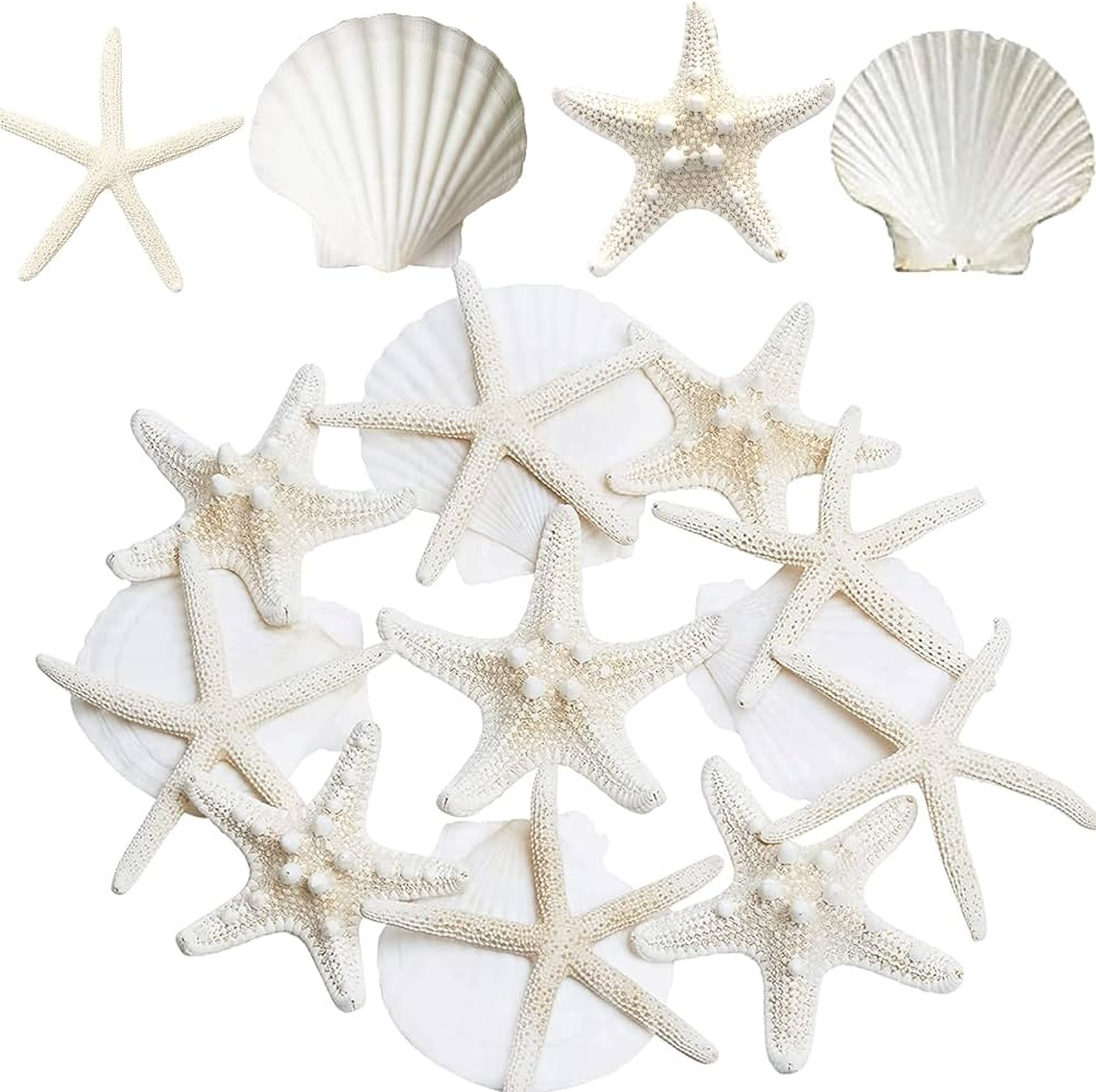 JQAQJU Starfish and Scallop Shells for Crafts 12PCS, Large Seashells 2.5"-3.5" Bulk Sea Shells for D | Amazon (US)