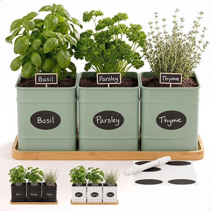 Herb Planter Indoor, 3-pc Herb Pots w/ Drainage Holes, Bamboo Tray & Labels | Amazon (US)