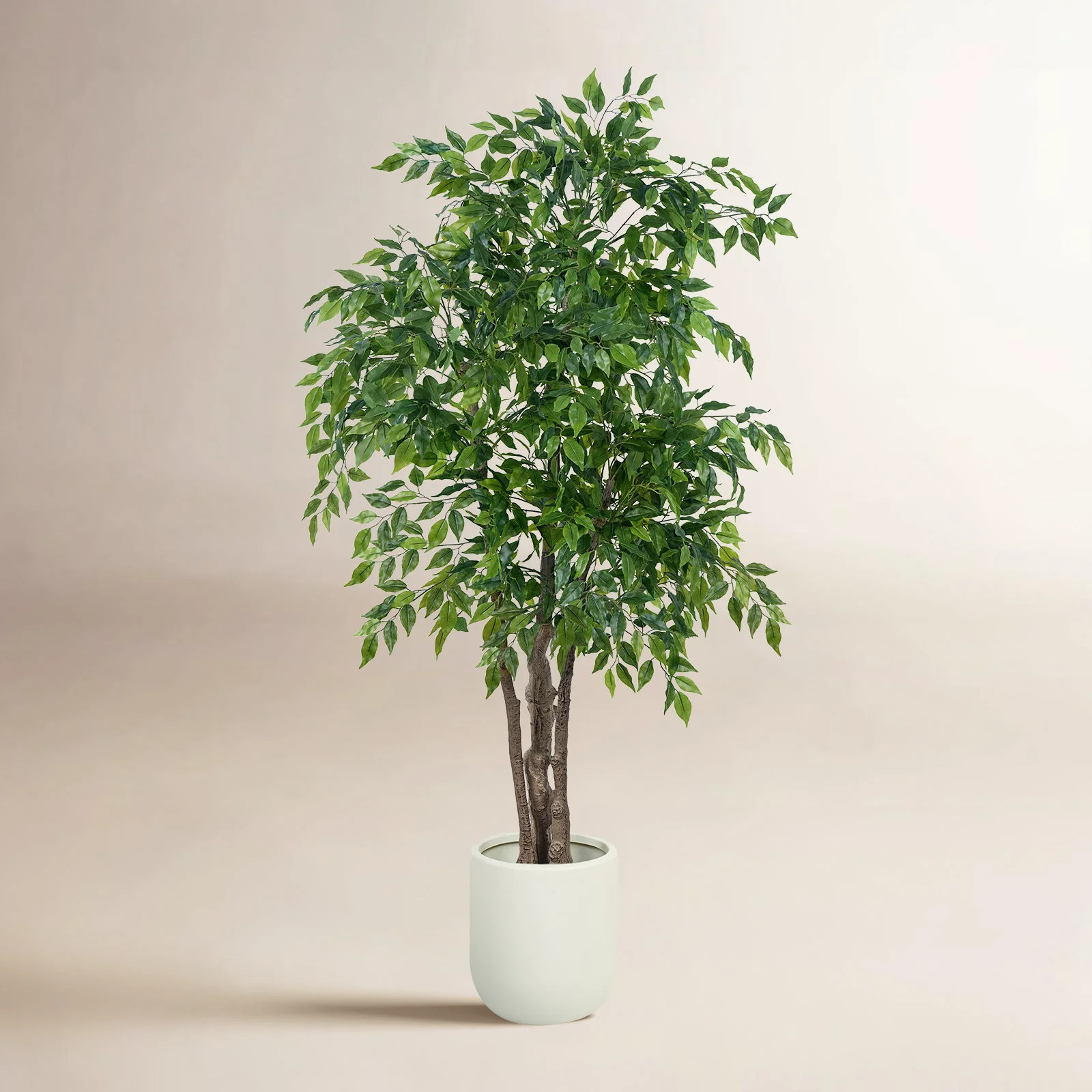 Faux Ficus Tree In White Planter, Lifelike Artificial Ficus Plant For Indoor And Outdoor Decor | Wayfair North America