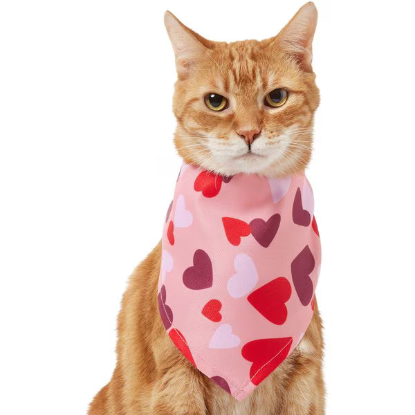 Frisco Heart Print Dog & Cat Bandana, X-Small/Small | Chewy.com