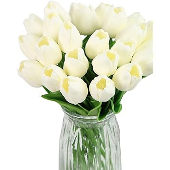 IPOPU Real Touch Tulips 24PCS Artificial Tulips Flowers for Decoration Cream Fake Tulips Floral A... | Amazon (US)