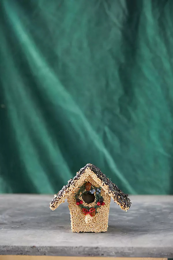 Bird Seed Cottage | Terrain