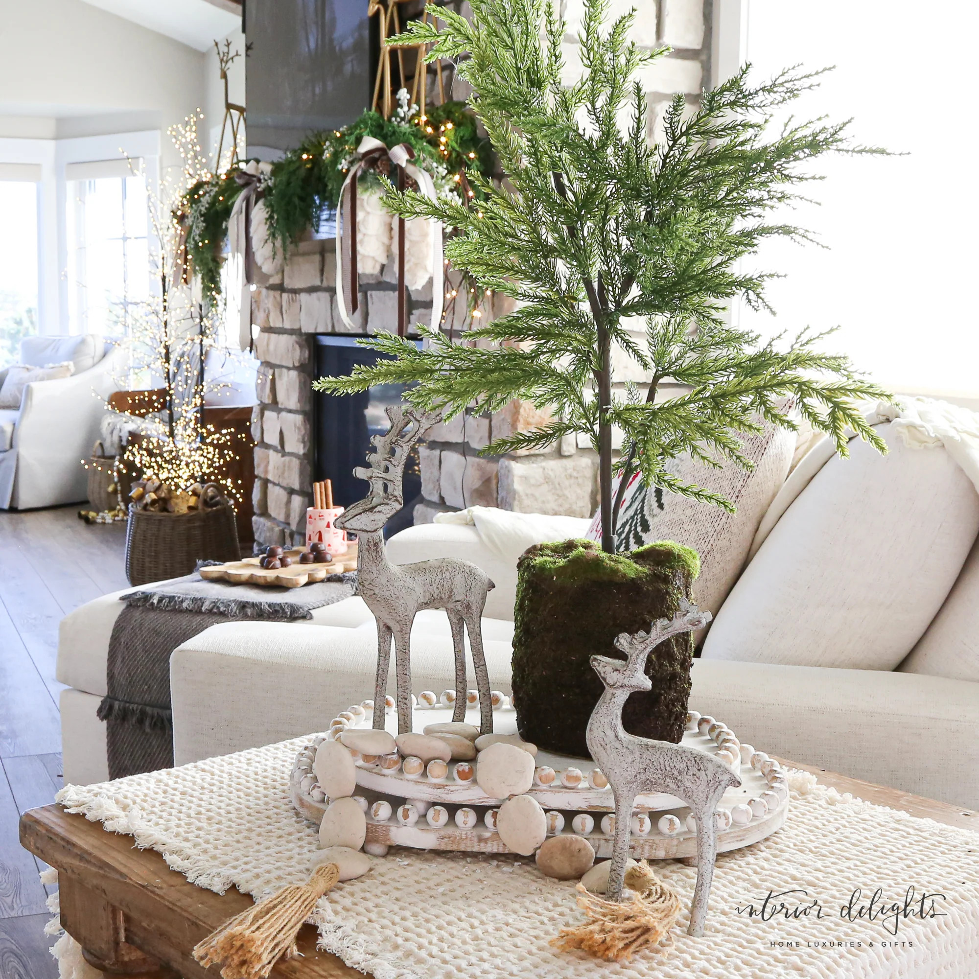 24” Spruce Tree | Interior Delights