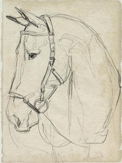 Horse in Bridle Sketch II Wall Art Print | Art.com