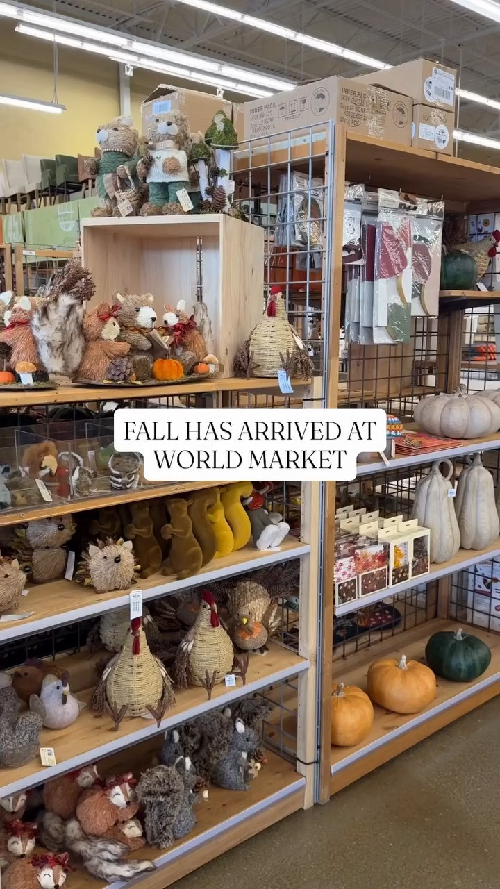 comment FALL for the links🔗🍂🤎

#newfall #newfinds #falldecor #falldecorations #autumnaesthetics