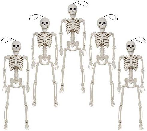 Posable Halloween Skeletons, Full Body Posable Joints Skeletons 5 Packs for Halloween Decoration, Gr | Amazon (US)