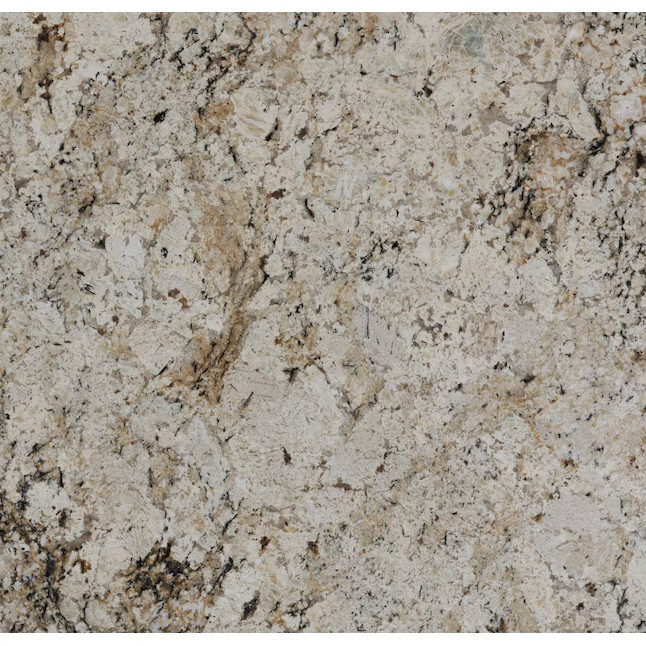 SenSa 4 in. x 4 in. Snowfall Granite Brown Kitchen Countertop SAMPLE ( 4-in x 4-in ) | Lowe's