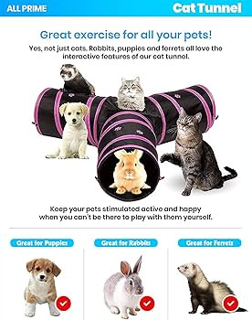 All Prime Cat Tunnel - Also Included is a ($5 Value) Interactive Cat Toy - Toys for Cats - Cat Tu... | Amazon (US)
