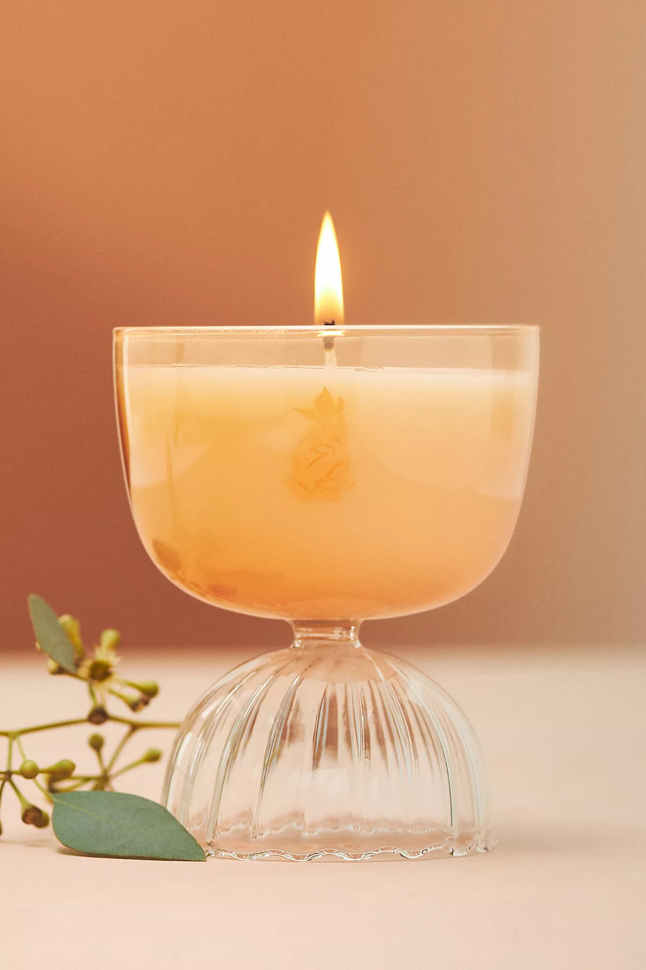 Rewined Rose Coupe Glass Candle | Anthropologie (US)