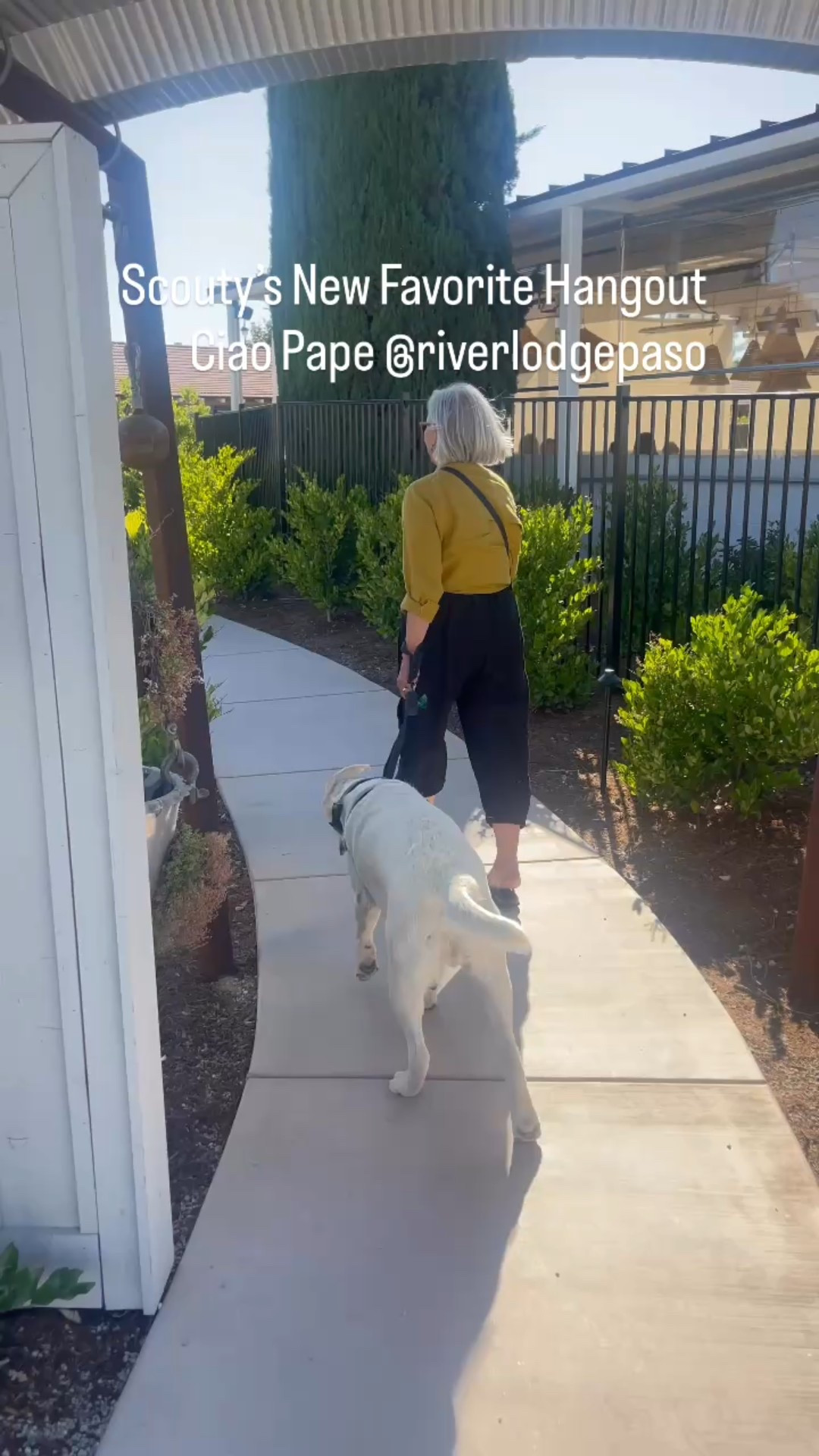 Summer dinner outfits
#linen #summer outfit

#LTKOver40 #LTKSeasonal #LTKStyleTip