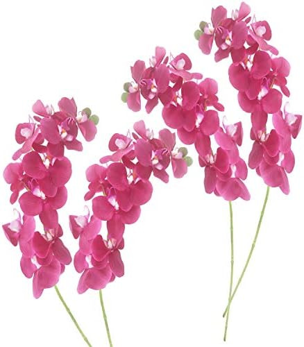 cn-Knight Tropical Artificial Flower 4pcs 28" Long Stem Butterfly Orchid Big Size Lifelike Phalae... | Amazon (US)