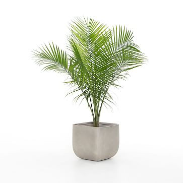 Ivan Concrete Indoor/Outdoor Planters | West Elm (US)