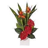 Nearly Natural 22in. Bird of Paradise, Anthurium and Sansevieria Artificial White Planter Silk Plant | Amazon (US)