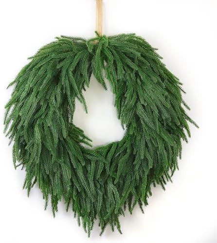 24" Norfolk Pine Christmas Wreath for Front Door – Large Artificial Greenery Wreath for Wall, P... | Amazon (US)