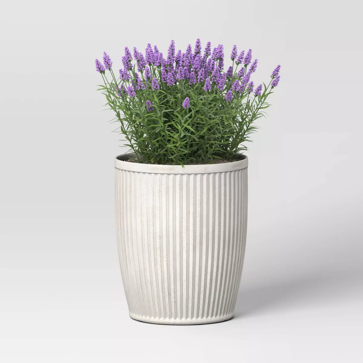 Weathered Ribbed Composite Indoor Outdoor Planter Pot Off-White - Threshold™ designed with Stud... | Target