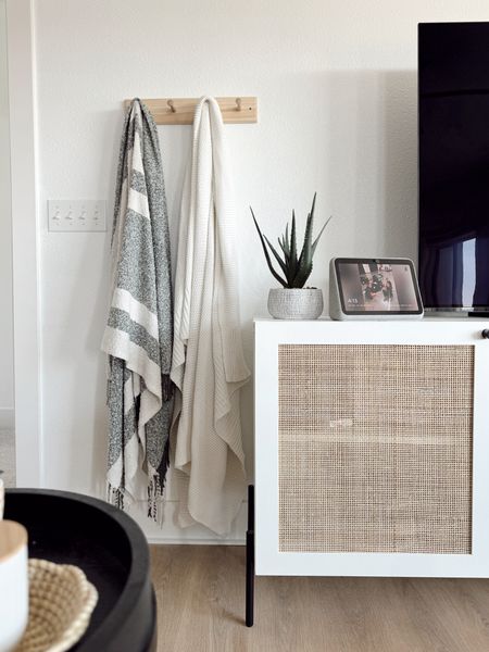 Living room home decor - throw blankets - faux plant - modern style - boho - organic modern 

#LTKfindsunder50 #LTKhome