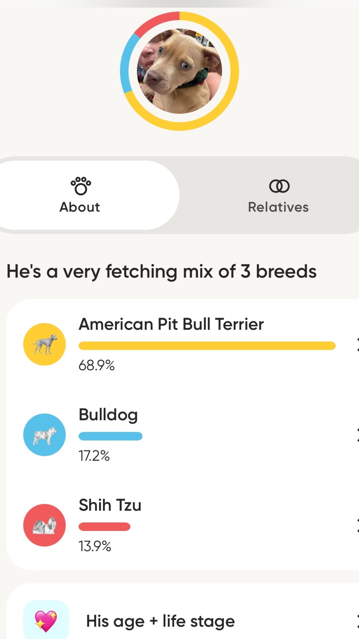 I did a DNA test for my dog to see what breed (s) he is! Highly recommend!! So cool!

Plus here is $10 off with then you use this link: https://oken.do/t14ksfja

Embark Breed Identification Kit - Most Accurate Dog DNA Testing Kit - 99% Breed Ancestry Accuracy for Mixed Breed Dogs - Plus Relative Finder & Family Tree


Dog dna test
DNA test
Embark dna discount 
Embark discount code 

#LTKPets