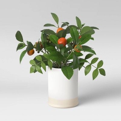 15" x 12" Artificial Citrus Plant Leaf in Ceramic Pot White - Threshold™ | Target