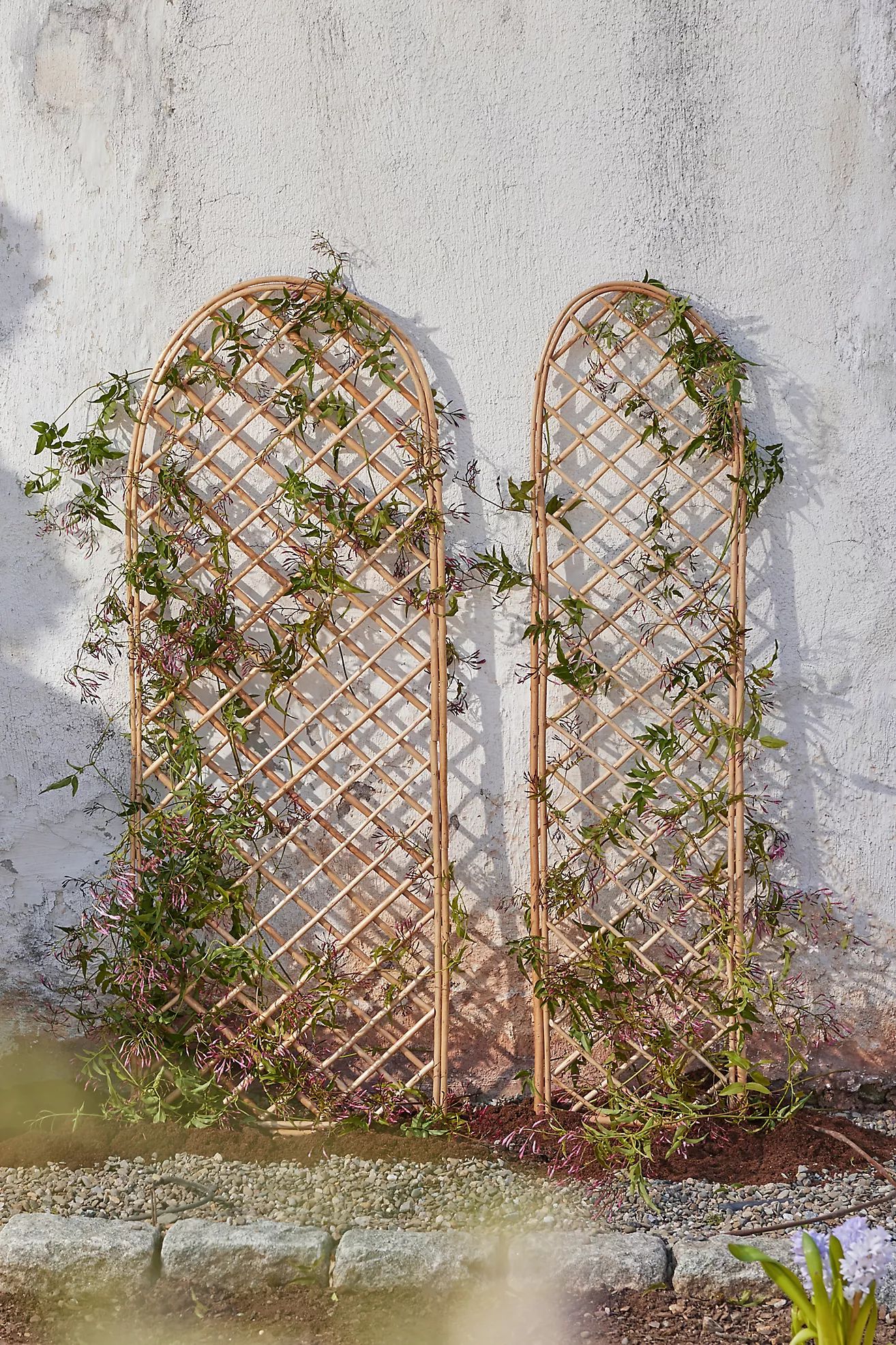 Rounded Top Willow Trellis | Anthropologie (US)