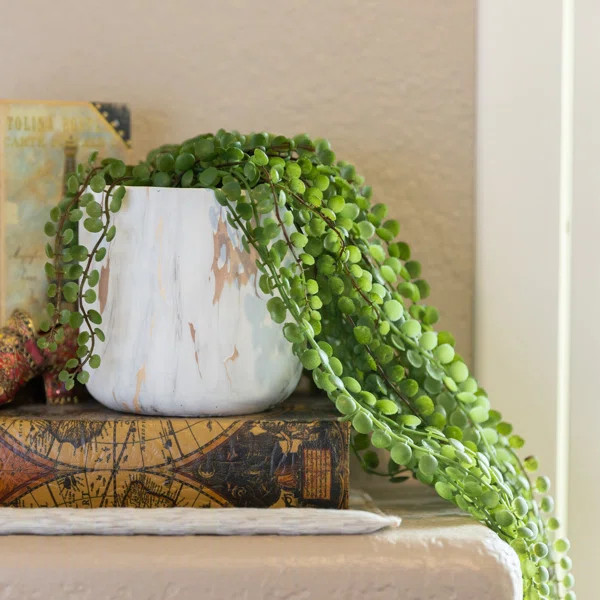12.5'' Faux Succulent Plant in Ceramic Pot | Wayfair North America