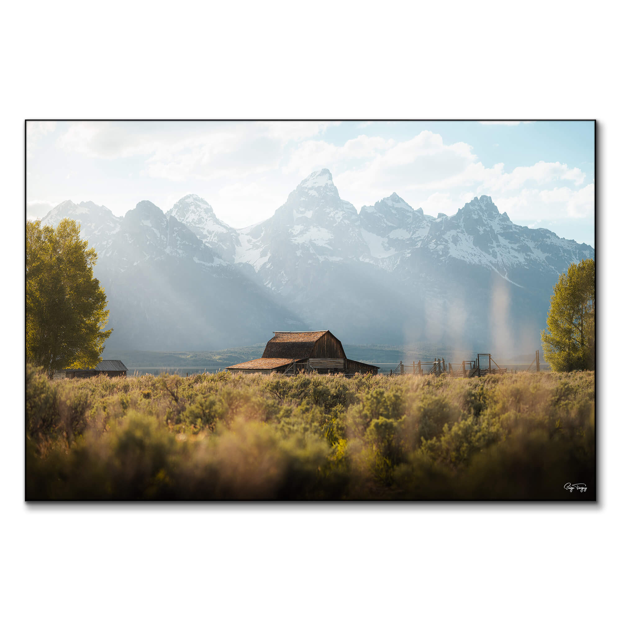 Mormon Row | Big Wall Decor (US)