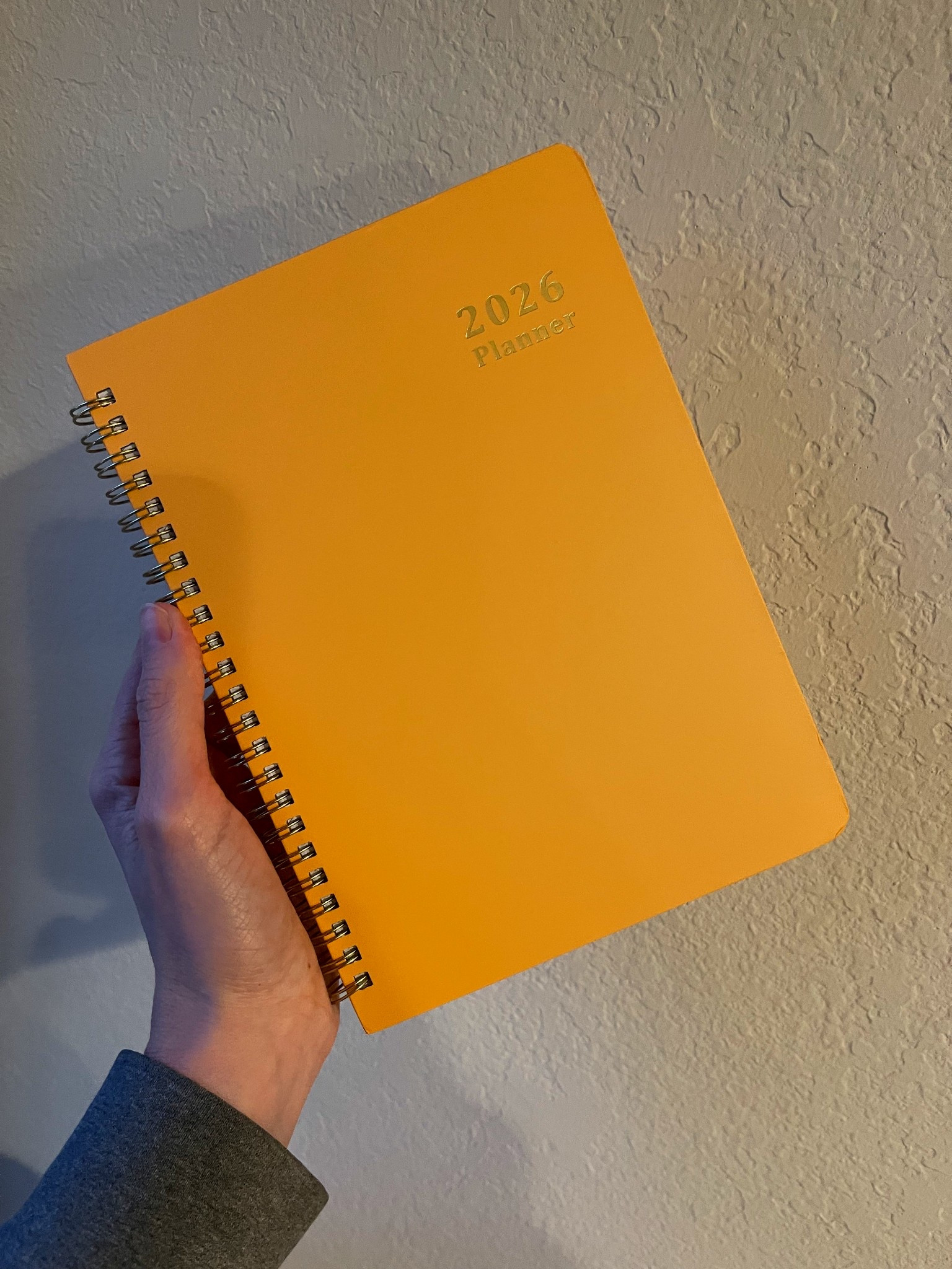 I take getting my new year planners very seriously 😆 #organize #newyear #amazon #sale 

#LTKFindsUnder50 #LTKSaleAlert #LTKdayinmylife