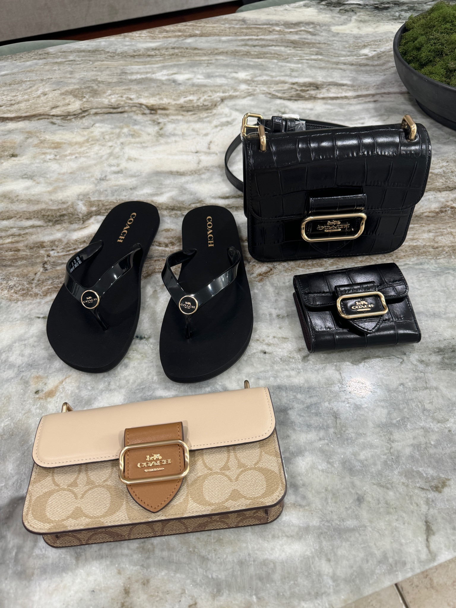 Coach essentials . Coach sandals , beach sandals , coach crossbody handbags . Coach wallet . 

#LTKstyletip #LTKmidsize #LTKsalealert