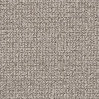 Home Decorators Collection Shooting Star-Atlas Beige-35 oz. SD Polyester Pattern Carpet - Install... | The Home Depot