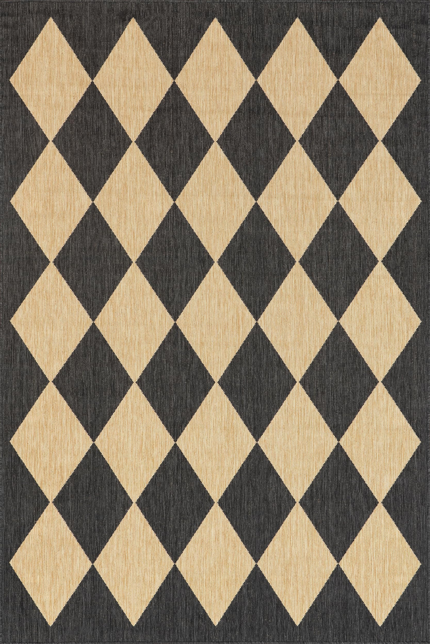 Nuloom Outdoor Performance Collection Sabina Dark Grey/Ivory, 8' x 10', Soft, High Traffic, Stain... | Amazon (US)