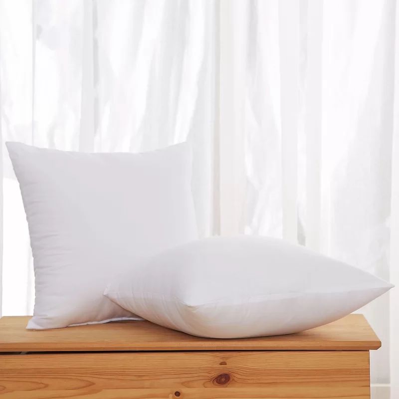 Roisin Square Pillow Insert (Set of 2) | Wayfair North America