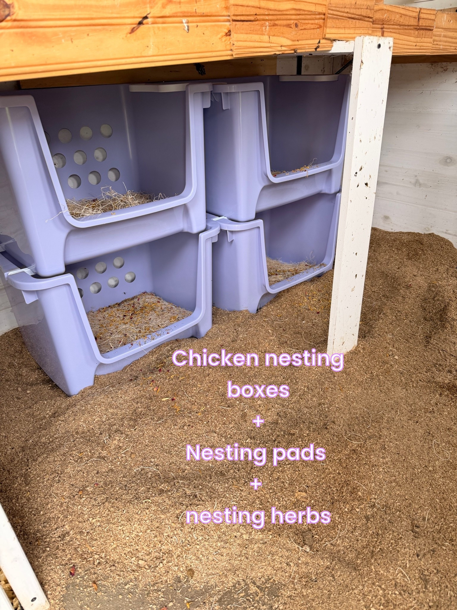Chicken nesting boxes, nesting pads and nesting herbs