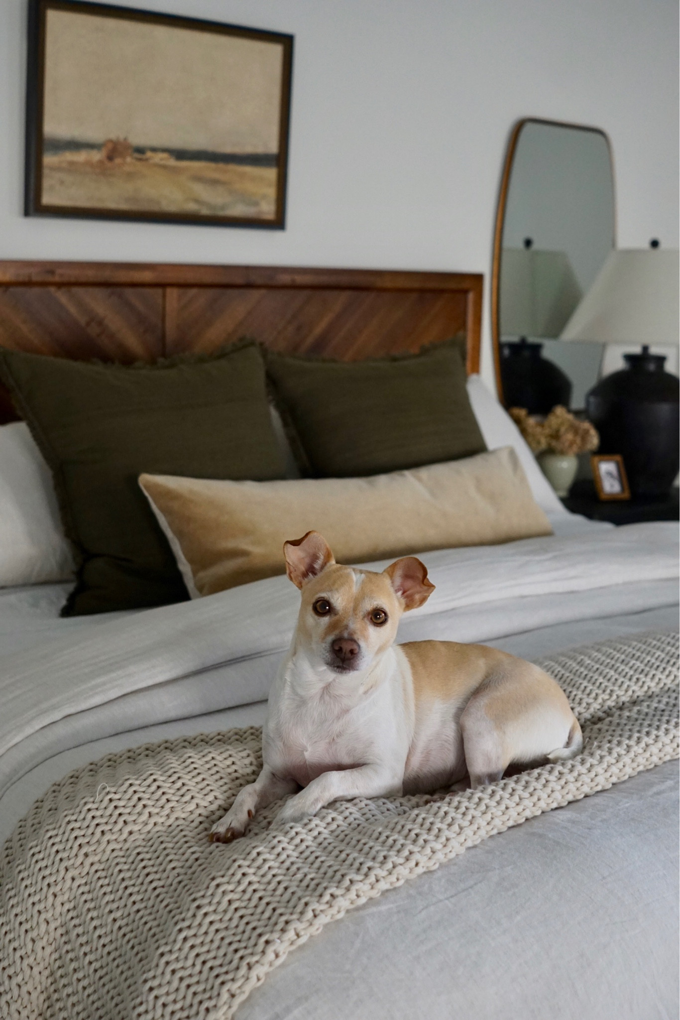 Piglet approved bedding 🐶

#LTKhome #LTKunder100 #LTKstyletip