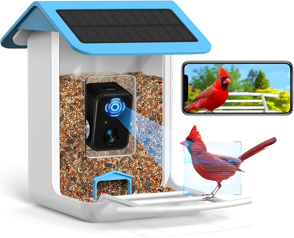 Smart Bird Feeder Camera, Free AI Forever, 32G TF Card & 1080P HD Camera Auto Capture Bird Videos... | Amazon (US)