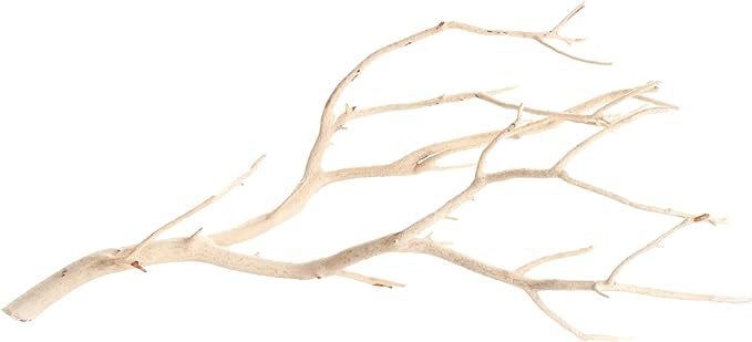 Koyal Wholesale Real Manzanita Branches, 12-Inch, Sandblasted | Amazon (US)