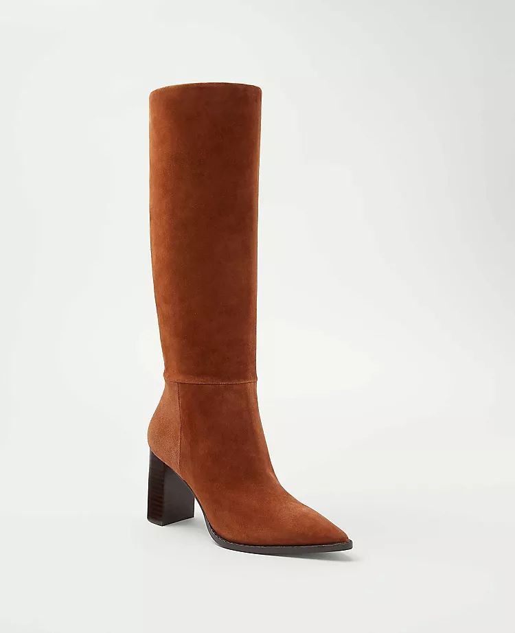 Slouchy Suede Pointy Toe Boots | Ann Taylor (US)