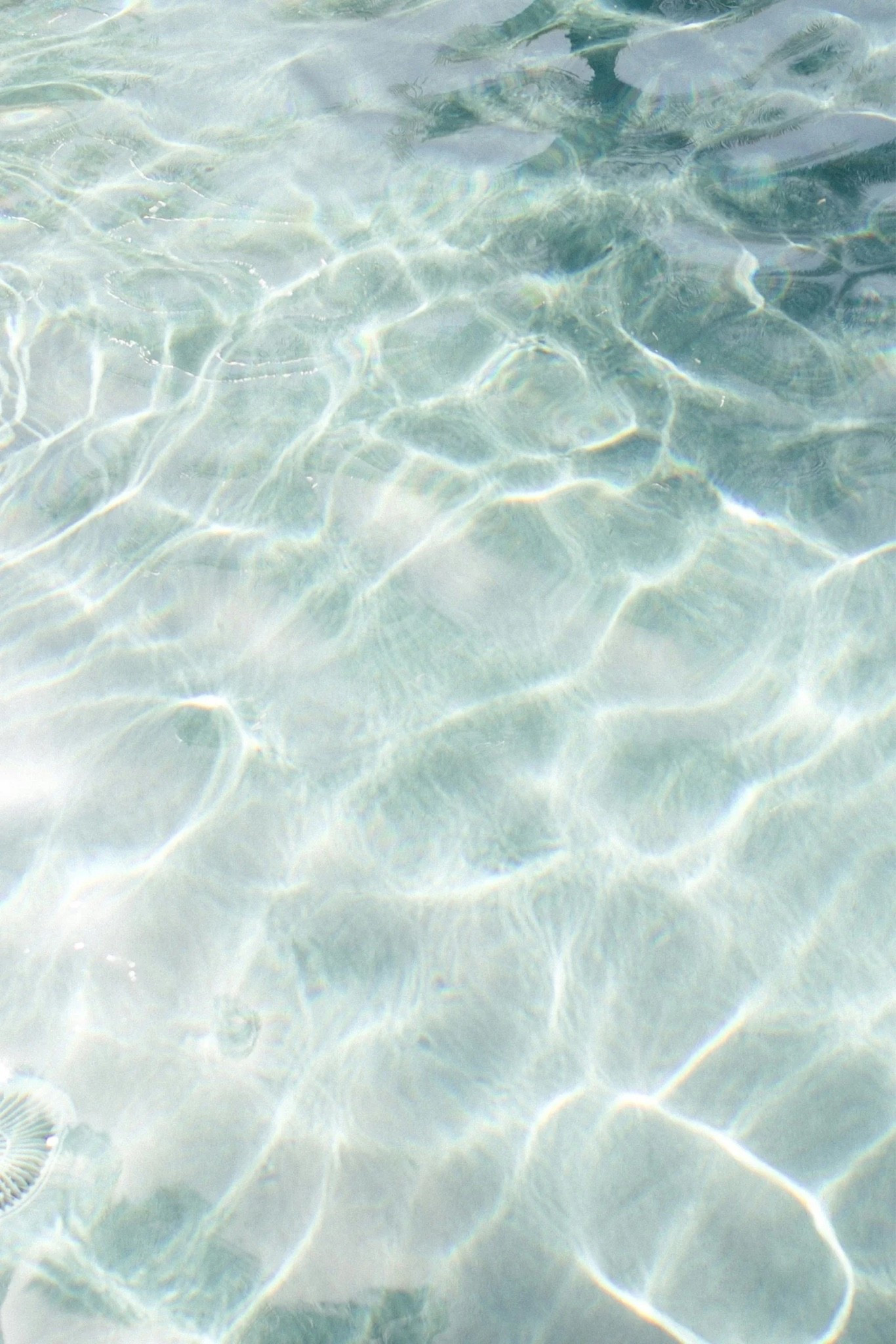 FRIDAY FAVORITES 05/15/26
I've started an exercise to focus on positivity and bring happiness into my life and those around me. I tend to dwell on the negatives, but I'm determined to retrain my brain. So, I am sharing 16 things that have made me happy in a series called "Friday Favorites" to inspire joy in others. See the full post at abigailamira.com

#LTKhome #LTKswimwear #LTKsummer